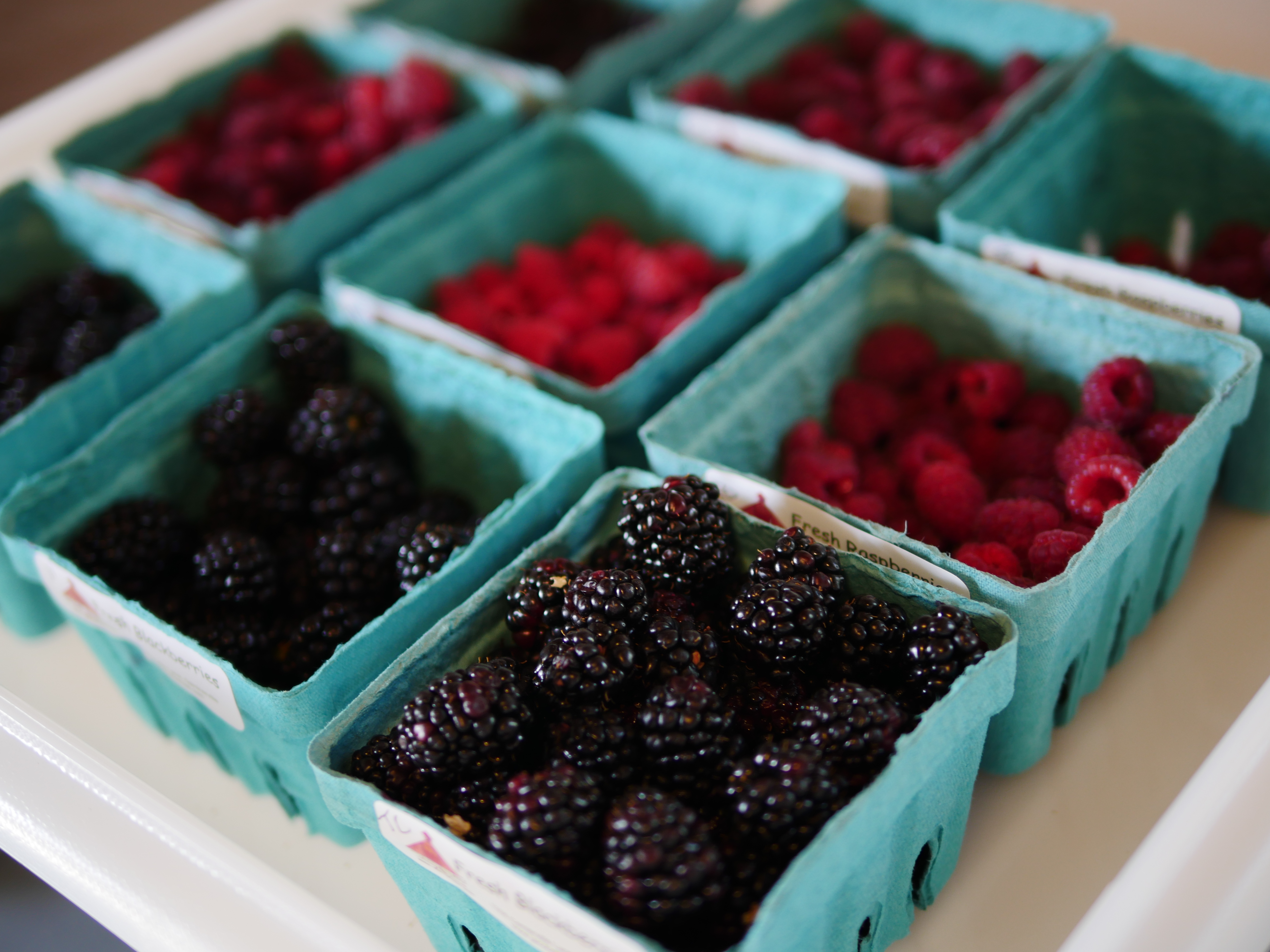 Specialty Crops - berries